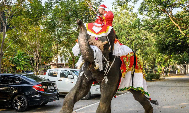 Người quản tượng huấn luyện voi mặc trang phục ông già Noel tặng quà cho học sinh vào dịp lễ Giáng sinh ở Ayutthaya, Thái Lan. (Nguồn Guardian)