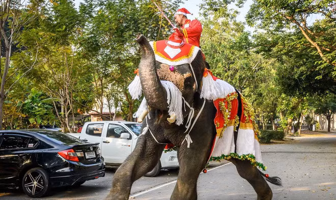 Người quản tượng huấn luyện voi mặc trang phục ông già Noel tặng quà cho học sinh vào dịp lễ Giáng sinh ở Ayutthaya, Thái Lan. (Nguồn Guardian)