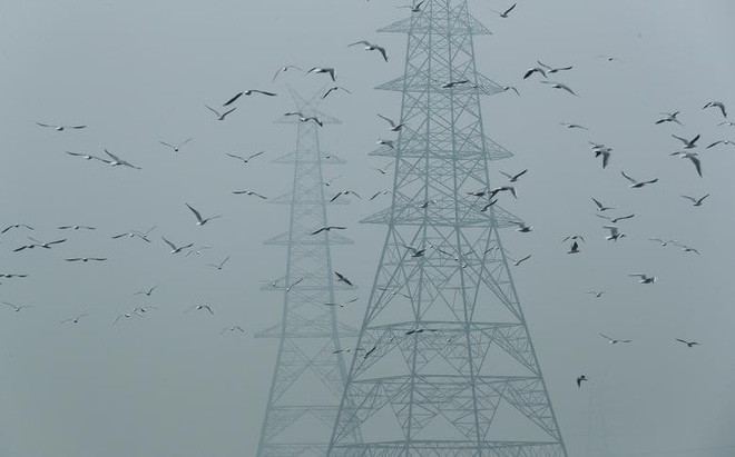 Đàn chim bay cạnh những cây cột điện cao thế trong buổi chiều mờ sương ở thành phố Delhi, Ấn Độ. (Nguồn Guardian)