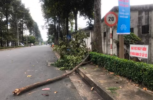 Dau xe long gia canh nu cong nhan tu vong vi bi cay de