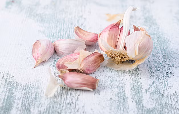 Tỏi rõ ràng là một loại siêu thực phẩm giá rẻ, được coi là một loại kháng sinh tự nhiên, tỏi có thể dùng để phòng ngừa rất nhiều bệnh liên quan đến đường hô hấp và cải thiện sức đề kháng của chúng ta.