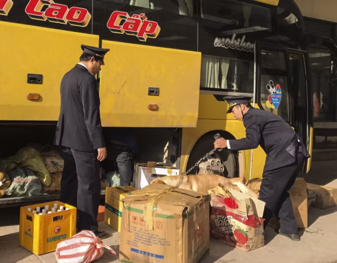 Đội chó nghiệp vụ thường xuyên tham gia tuần tra, kiểm soát hàng hóa khu vực cửa khẩu quốc tế Cha Lo.