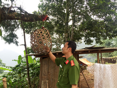 Chiếc lồng gà đón sóng điện thoại.