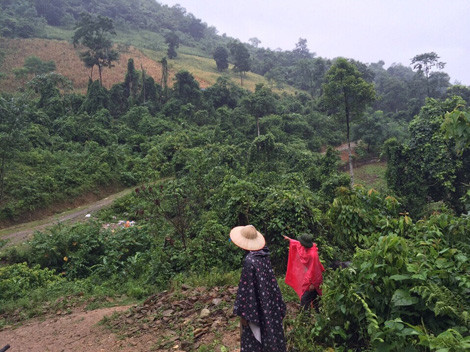 Địa hình nơi truy tìm đối tượng Tẩn Láo Lở.