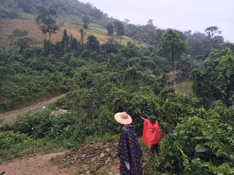 Địa hình nơi truy tìm đối tượng Tẩn Láo Lở.