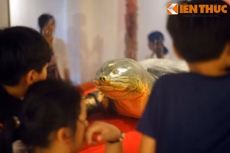 Phương pháp hiện đại này giúp mẫu vật có diện mạo chân thực nhất so với mẫu sống và có độ bền rất cao.