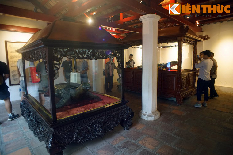 Cạnh lồng kính của "cụ" Rùa chết năm 2016 là lồng kính của "cụ" Rùa chết năm 1967. "Cụ" Rùa này khi mới chết có cân nặng 250 kg, chiều dài 2,1 mét, rộng 1,2 mét.