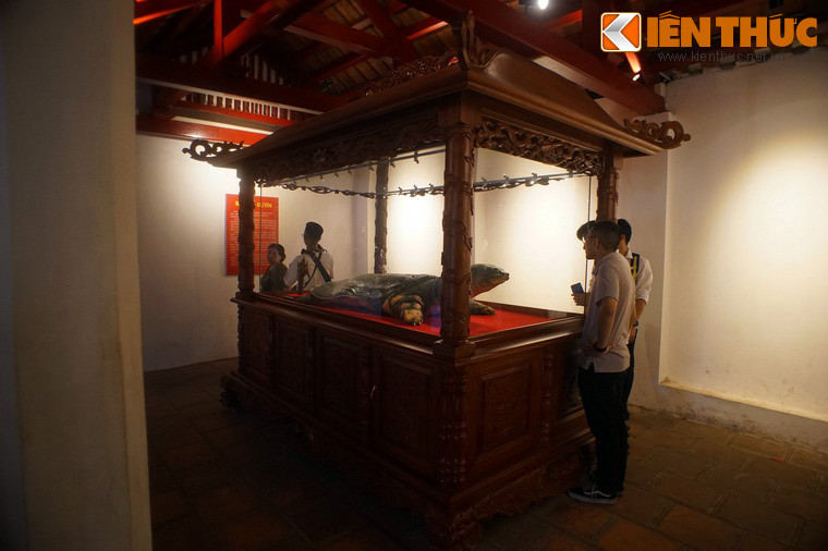 Tháng 1/2016, dư luận cả nước rúng động trước tin "cụ" Rùa cuối cùng của hồ Gươm đã chết. Sau hơn 3 năm chuẩn bị "hậu sự", vào tháng 3/2019, tiêu bản của cá thể rùa này đã được yên vị trong đền Ngọc Sơn.