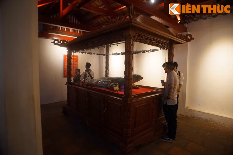 Tháng 1/2016, dư luận cả nước rúng động trước tin "cụ" Rùa cuối cùng của hồ Gươm đã chết. Sau hơn 3 năm chuẩn bị "hậu sự", vào tháng 3/2019, tiêu bản của cá thể rùa này đã được yên vị trong đền Ngọc Sơn.