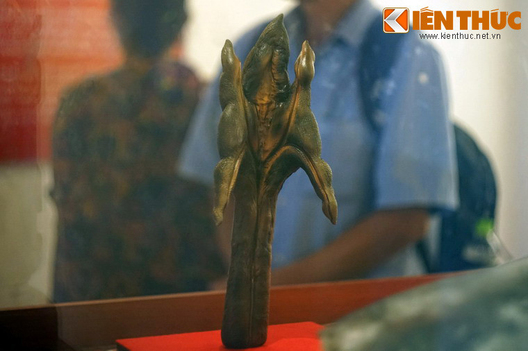 Bộ phận sinh sản của "cụ" Rùa. Theo các chuyên gia, "cụ" là giống cái.