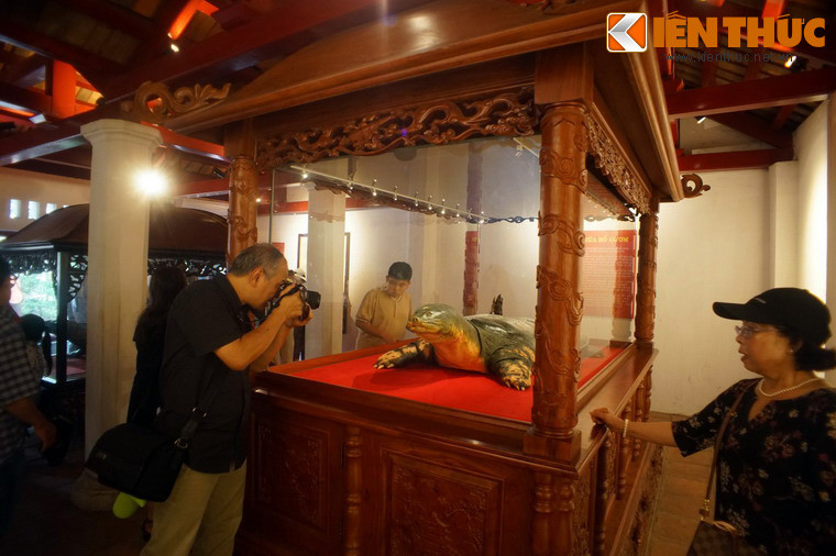Tiêu bản "cụ" Rùa được đặt trong lồng kính ở vị trí trang trọng bên gian trái của đền thờ Ngọc Sơn đã thu hút sự chú ý của đông đảo du khách ghé thăm đền.