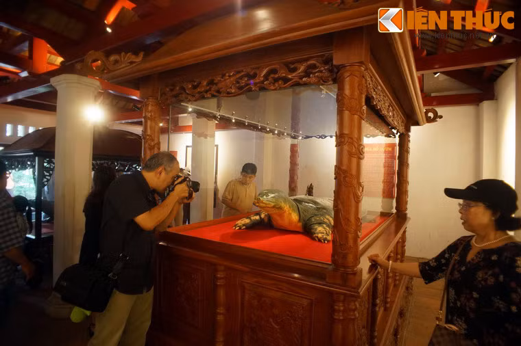 Tiêu bản "cụ" Rùa được đặt trong lồng kính ở vị trí trang trọng bên gian trái của đền thờ Ngọc Sơn đã thu hút sự chú ý của đông đảo du khách ghé thăm đền.