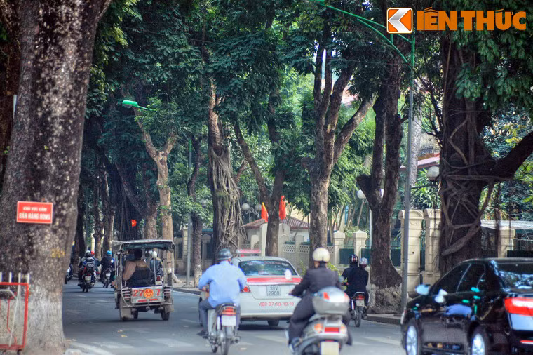 Choang ngop truoc day pho co thu dac biet o VN