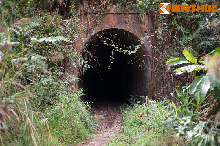 Sau nhiều thập niên bỏ hoang, nhìn từ bên ngoài, đường hầm năm xưa toát lên vẻ ma mị do bị các loài cây cỏ dại bao phủ.