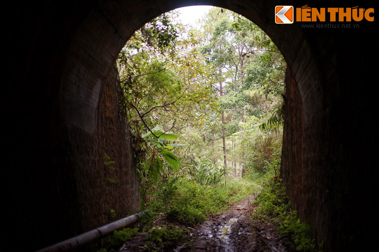Từ bên trong nhìn ra, miệng hầm chìm ngập trong màu xanh của cây rừng.