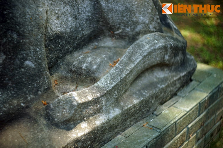 Đuôi hổ được tạo hình bằng một khối kỷ hà vuông thành, sắc cạnh.