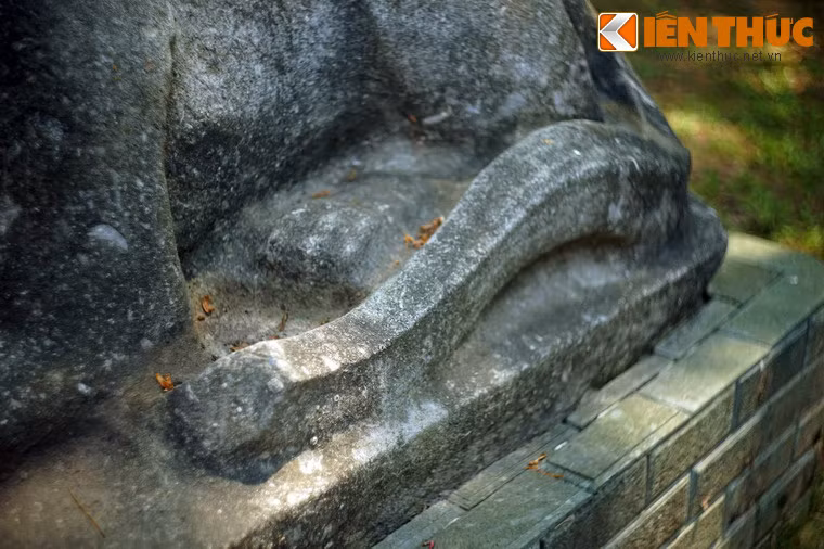 Đuôi hổ được tạo hình bằng một khối kỷ hà vuông thành, sắc cạnh.