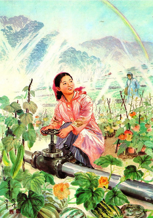 Mặt trời chiếu sáng trên những thửa ruộng.