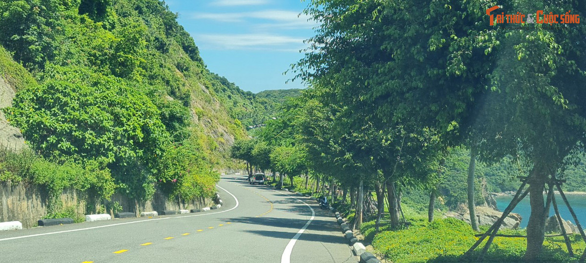 Cả những con đường cũng trở nên thơ mộng.