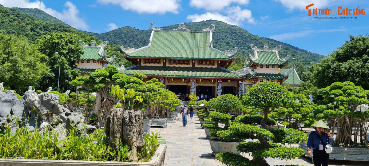 Chùa nằm tựa lưng vào đỉnh Sơn Trà vững chãi, được xem là ngôi chùa lớn nhất ở thành phố Đà Nẵng cả về quy mô cũng như kiến trúc nghệ thuật.