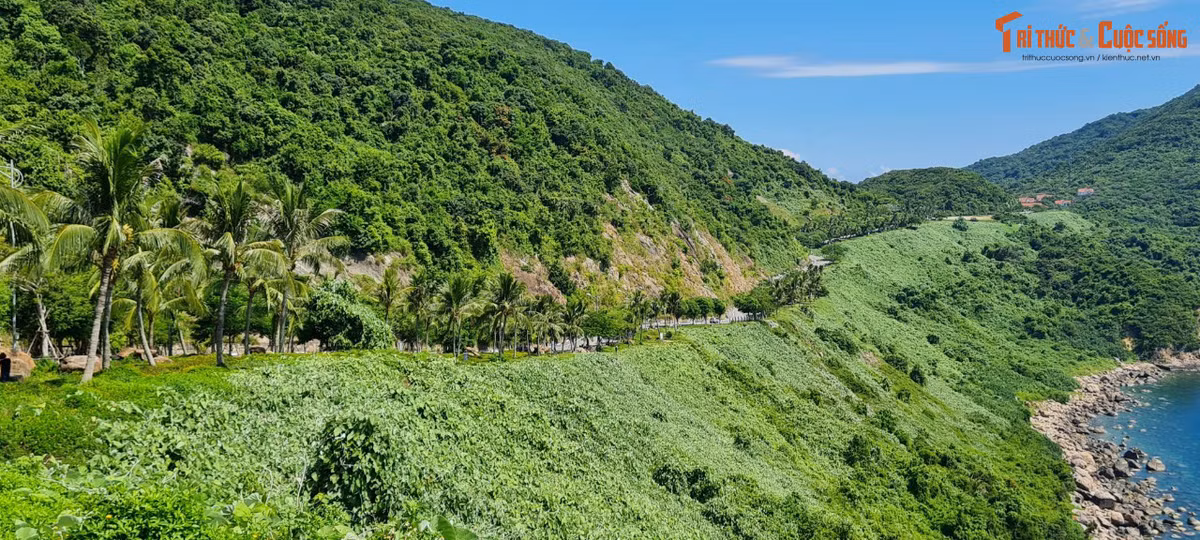 Thấp thoáng những cánh rừng nguyên sinh cùng với hệ sinh thái đa dạng.