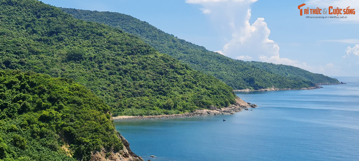 Rừng nguyên sinh xanh thẳm kéo dài đến tận chân mây hoà quyện với màu xanh ngọc bích của nước biển Đông.