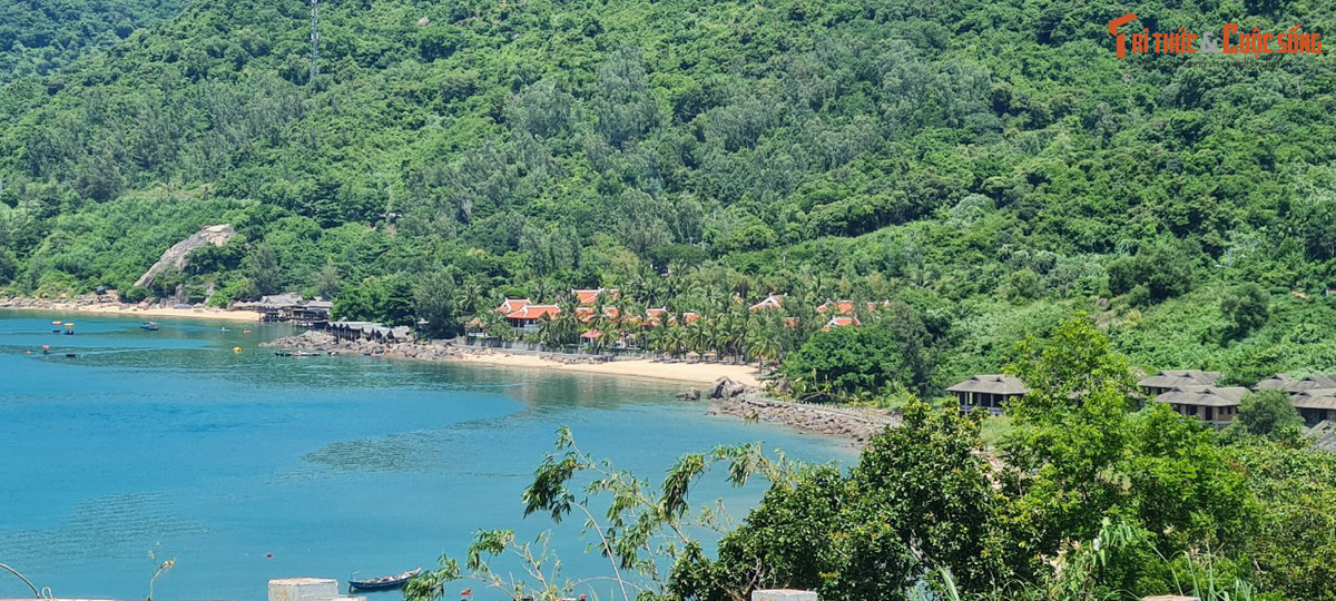 Bán đảo Sơn Trà như nàng công chúa được đánh thức sau giấc ngủ dài xuyên thế kỷ, bừng dậy với vẻ đẹp lộng lẫy đầy sức quyến rũ.