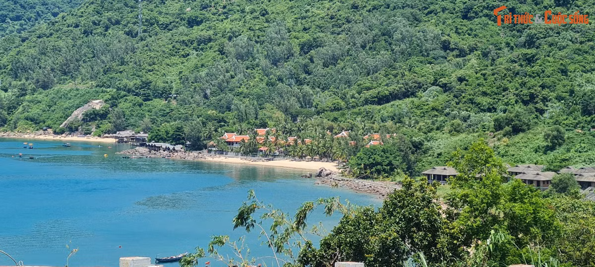 Bán đảo Sơn Trà như nàng công chúa được đánh thức sau giấc ngủ dài xuyên thế kỷ, bừng dậy với vẻ đẹp lộng lẫy đầy sức quyến rũ.