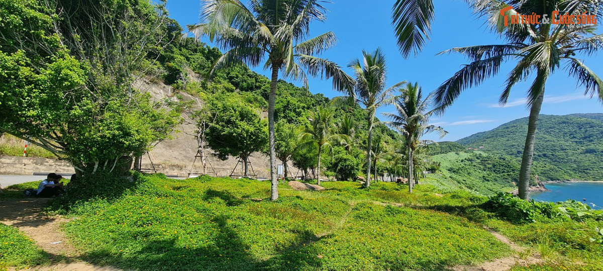 Những cảnh lãng mạn, nên thơ chỉ có thể tìm thấy ở Sơn Trà.