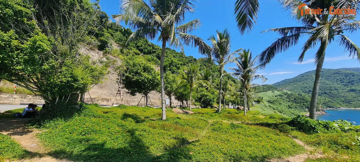 Những cảnh lãng mạn, nên thơ chỉ có thể tìm thấy ở Sơn Trà.