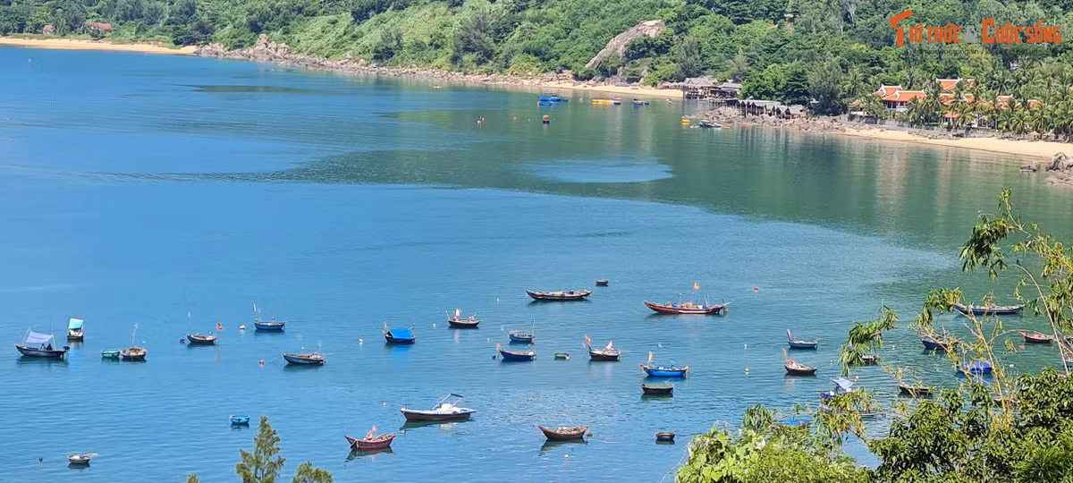 Du khách như lạc vào một không gian tĩnh lặng, yên ả, tránh xa những xô bồ đông đúc, tấp nập nơi phố biển cách đó không xa.