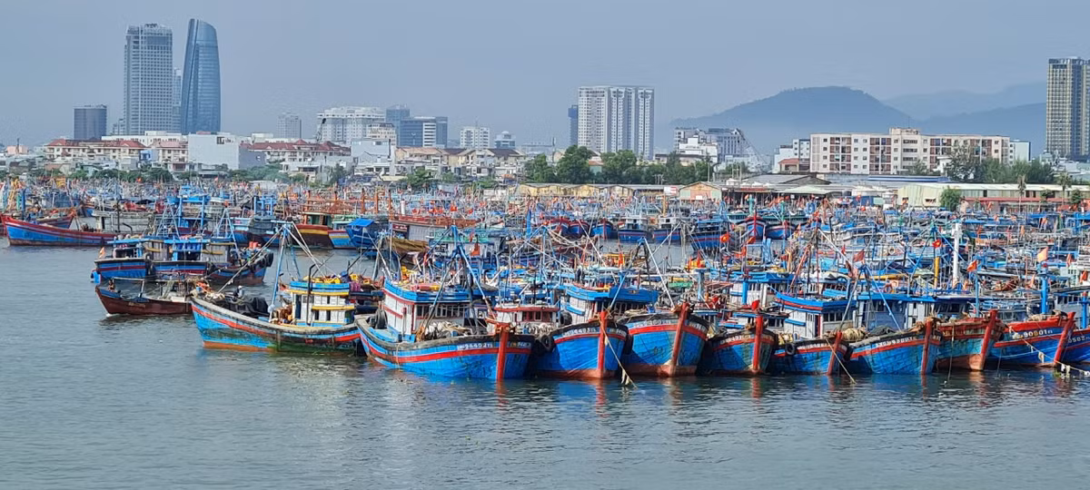 Lực lượng chức năng cũng yêu cầu bà con ngư dân lên bờ, không được ở lại tàu.