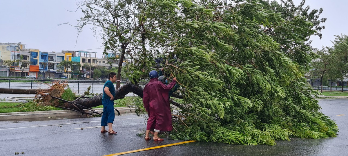 Chủ tịch UBND thành phố Lê Trung Chinh đã chỉ đạo các sở, ban, ngành, địa phương triển khai một số biện pháp thu dọn cây xanh để bảo đảm giao thông.