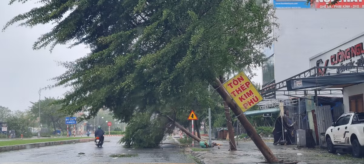 Tính đến thời điểm 6h sáng nay, Đà Nẵng chưa ghi nhận thiệt hại về người do bão gây ra.