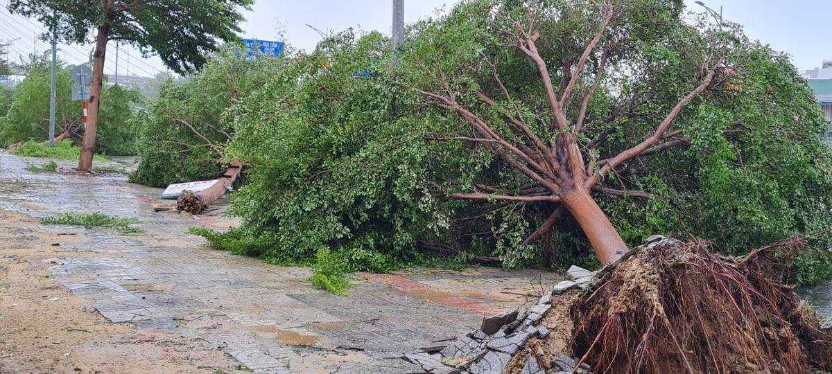 Công tác dọn vệ sinh môi trường sau bão đang được thành phố gấp rút triển khai. &gt;&gt;&gt; Mời độc giả xem thêm video Sau cơn bão số 2 - Talas | Mưa lớn làm nhiều điểm ngập lụt ở Hà Nội: