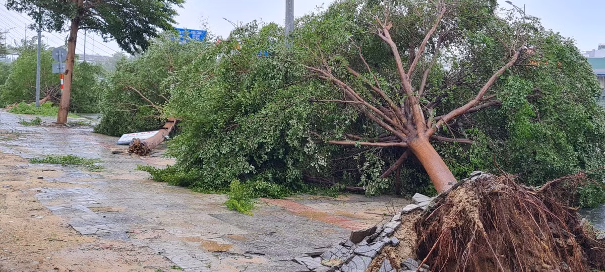 Công tác dọn vệ sinh môi trường sau bão đang được thành phố gấp rút triển khai. >>> Mời độc giả xem thêm video Sau cơn bão số 2 - Talas | Mưa lớn làm nhiều điểm ngập lụt ở Hà Nội: