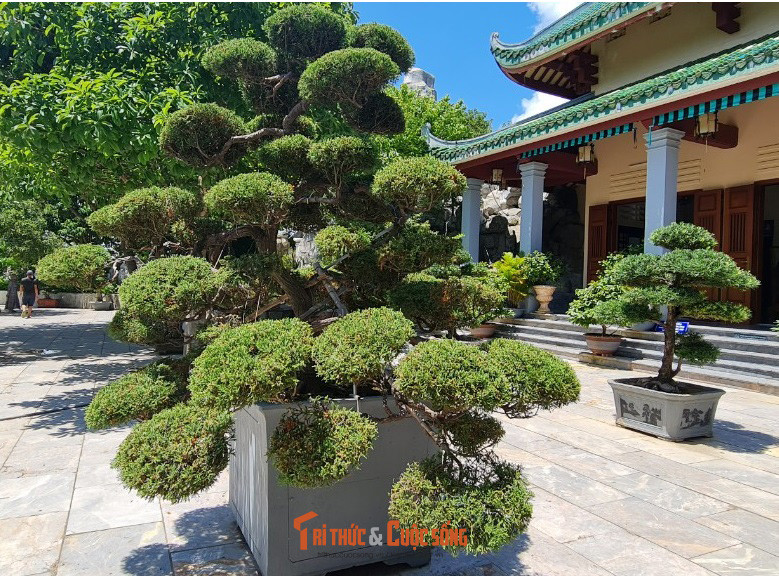 Và được tạo nhiều kiểu dáng độc đáo.