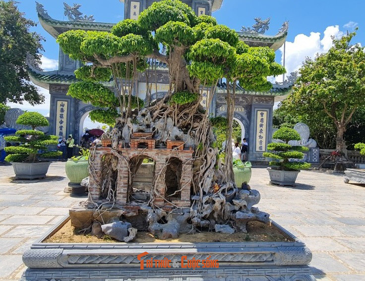 Sanh các loại được quy tụ về đây.