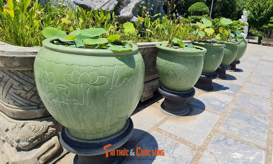 Cả những tiểu cảnh nên thơ.