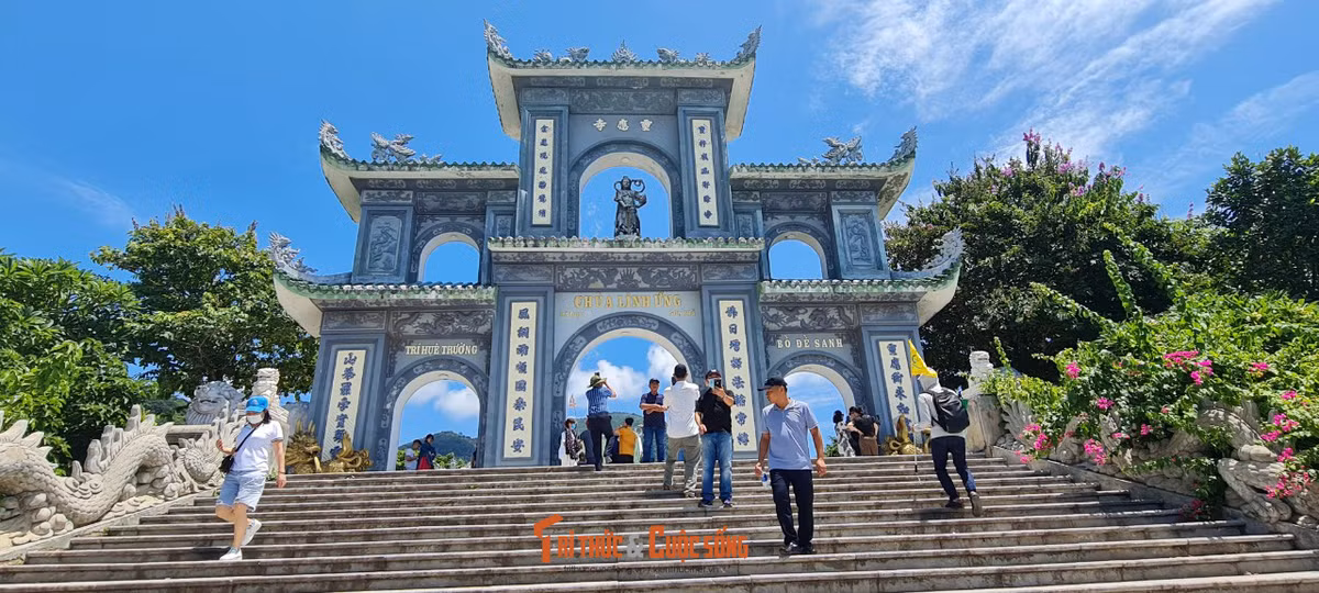 Can canh nhung cay bonsai 'vo gia' o ngoi chua linh thieng nhat Da thanh
