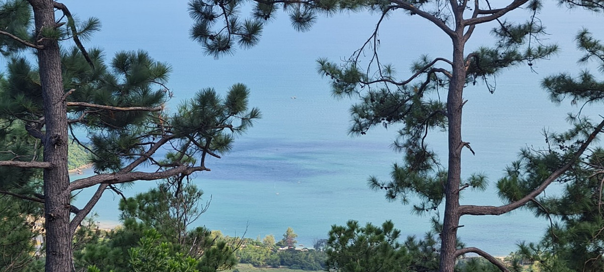 Khung cảnh đẹp như trong chuyện cổ tích, khiến du khách không nỡ rời bước.