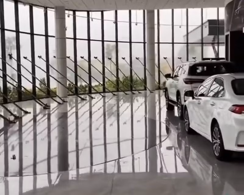 Độc đáo hơn, một showroom ô tô đã dùng 70 thanh gỗ chống để bảo vệ cửa kính từ bên trong.