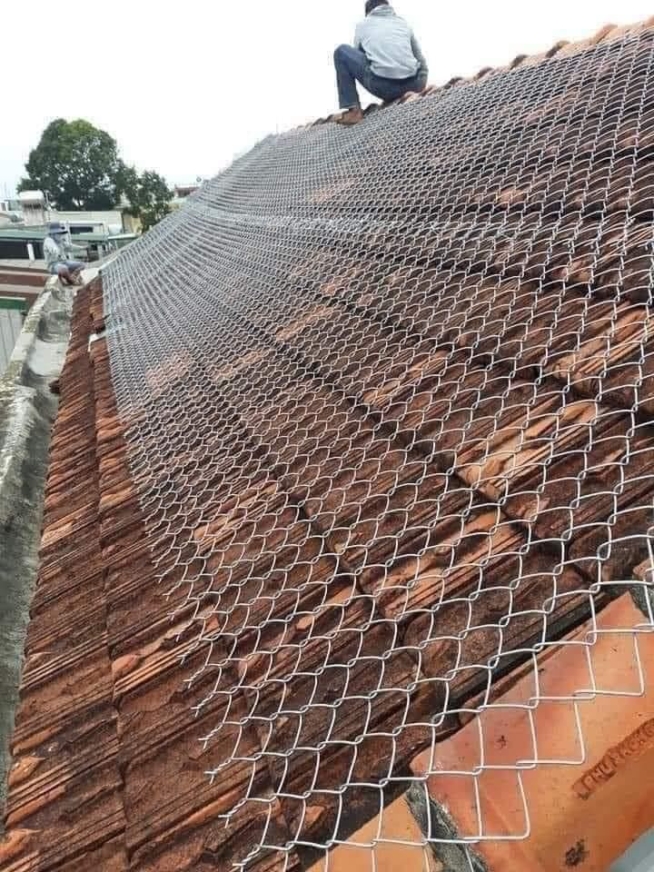 Với mái ngói thì dùng lưới sắt rào chắn kỹ.