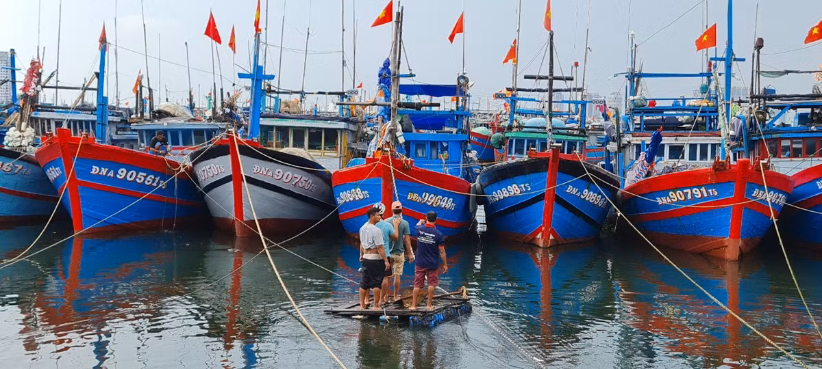 Tàu thuyền về nơi trú ẩn, tránh bão.