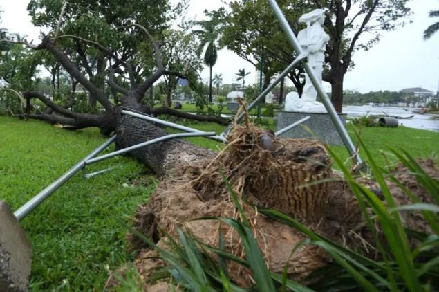 Quang Nam - Da Nang: Nhung thiet hai ban dau sau bao Noru do bo-Hinh-3