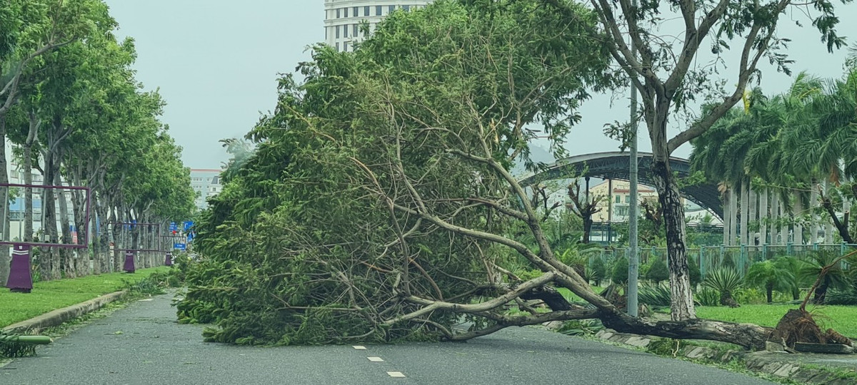 Đây là nhiệm vụ cấp thiết để đảm bảo an toàn giao thông.