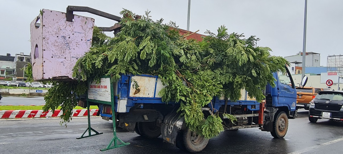 Các cây xanh ngã đổ đang được xử lý khẩn trương.