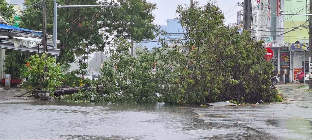 Cây xanh đổ la liệt nhiều nơi.