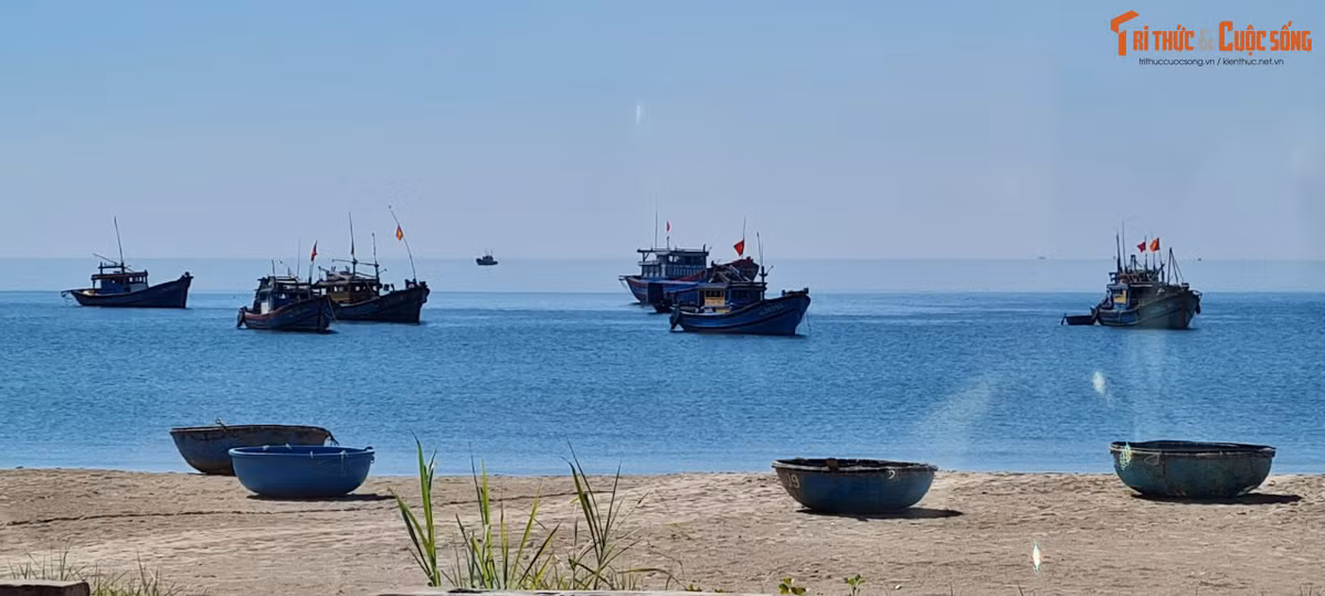 Vì vậy du khách tới đây vào sáng sớm hay buổi chiều sẽ bắt gặp hình ảnh ngư dân kéo lưới, các mẹ các chị bán hải sản ngay trên bãi biển.