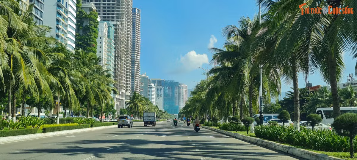 Đây cũng là một trong những con đường đẹp nhất Đà Nẵng.